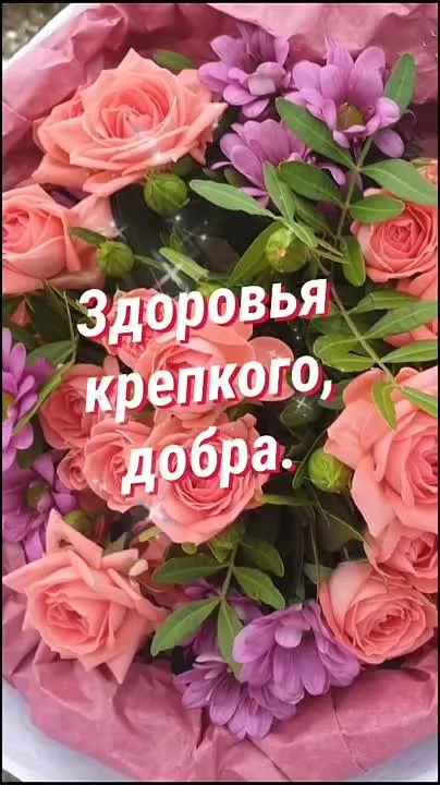 Видео-открытка с Днём Рождения: бесплатное поздравление