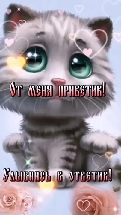 Видео открытки: Доброе утро и Спокойной ночи! Скачай бесплатно!