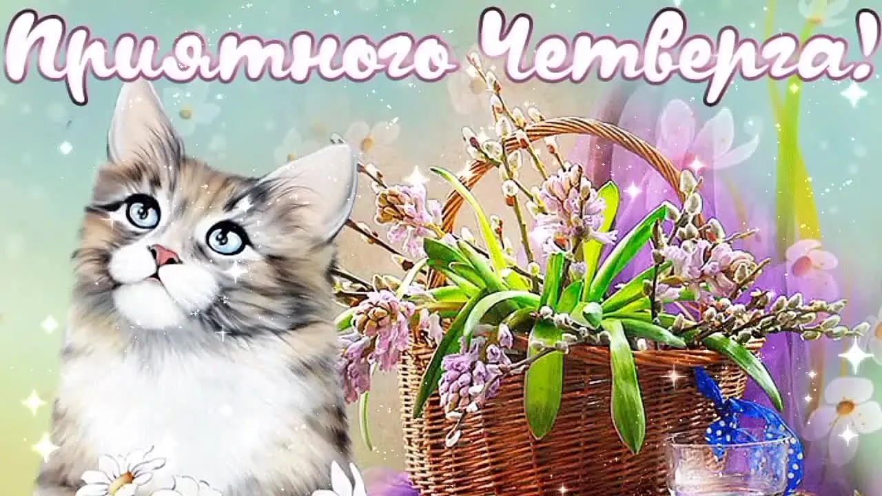 Прикольная открытка: доброе утро четверга скачать бесплатно