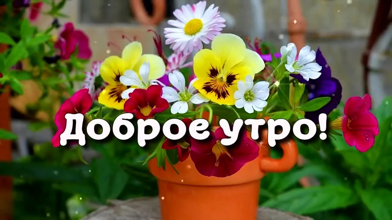 Доброе утро пятницы! Зарядись позитивом с музыкальной открыткой!