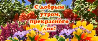 С добрым утром.Прекрасного дня