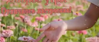 С добрым утром.