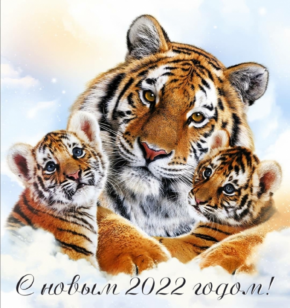 С новы2022 годом! Тигрица с тигрятами.